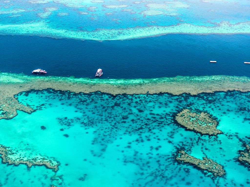 Australia i Nowa Zelandia