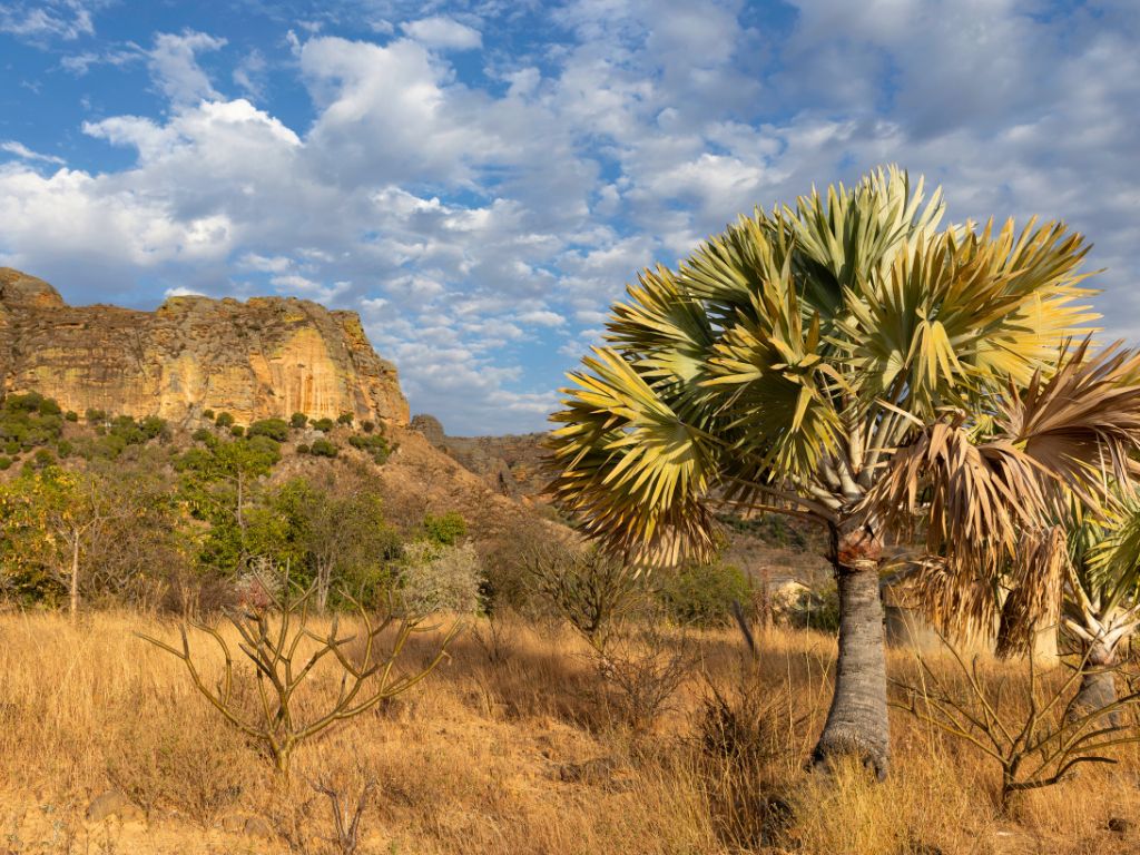 Madagaskar