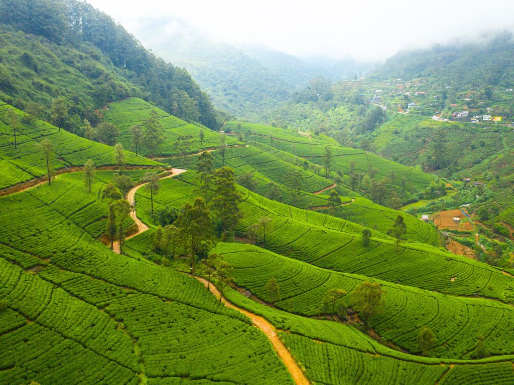 Sri Lanka